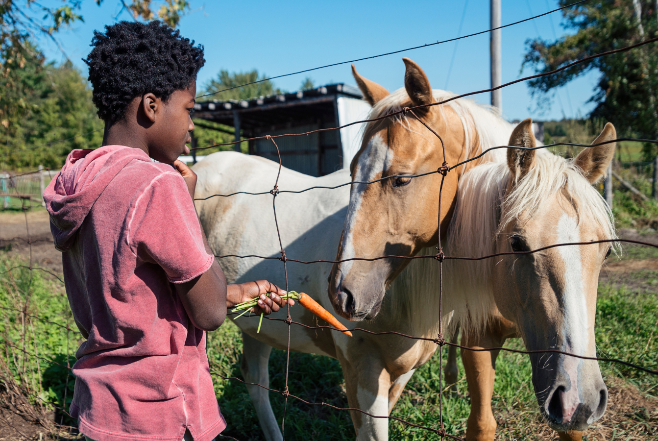 A Comprehensive Guide to Equine Assisted Psychotherapy