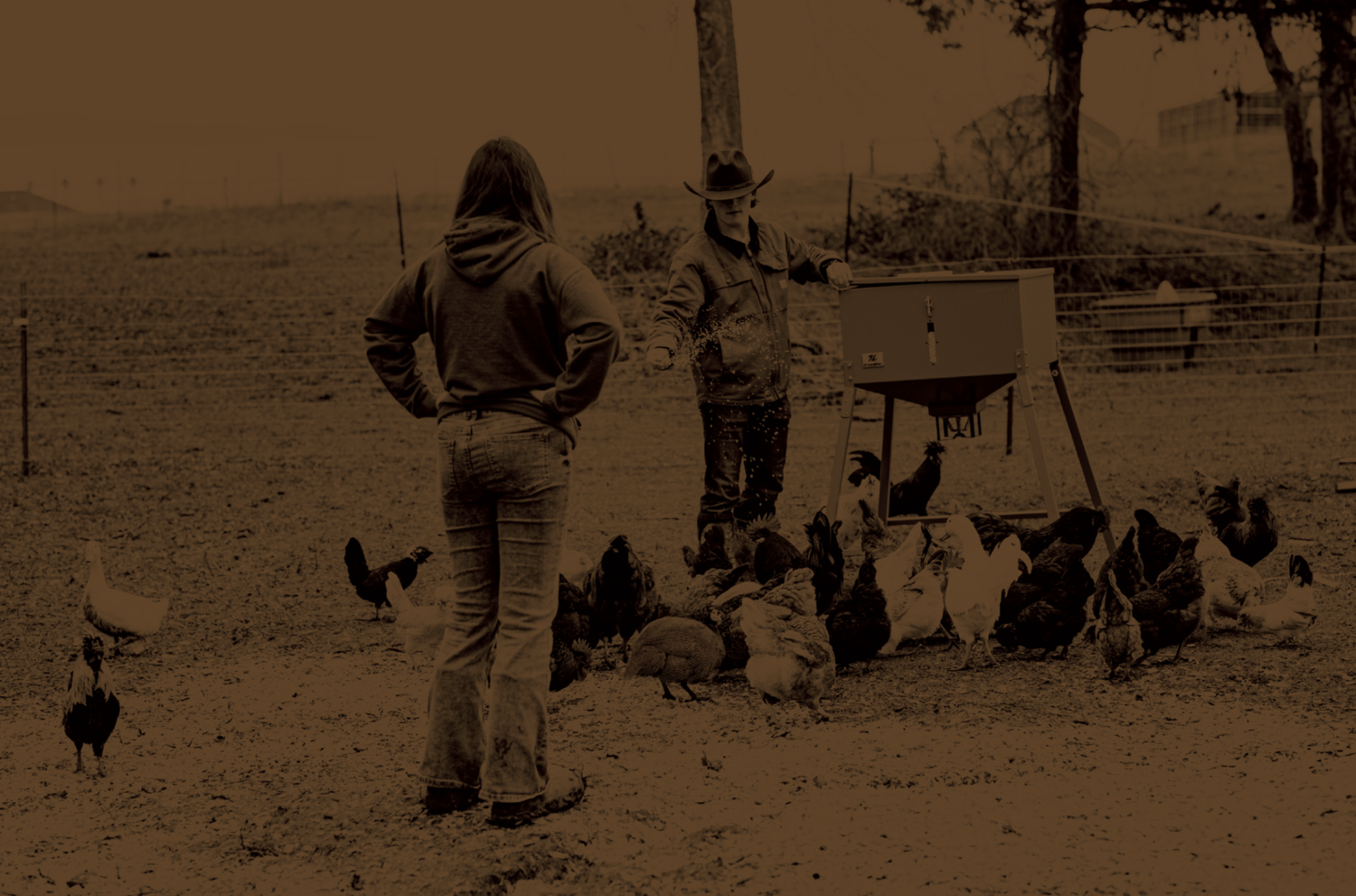 A teen boy and teen girl feed some chickens during their nature-based experiences session at Rustic Way Ranch, an equine-assisted psychotherapy center for teens struggling with mental health.