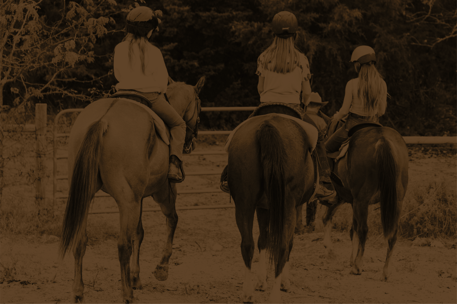 Learn about Therapeutic Horsemanship, Professional Counseling Services, and Nature-Based Experiences at Rustic Way Ranch, an equine-assisted psychotherapy center for teens struggling with mental health.