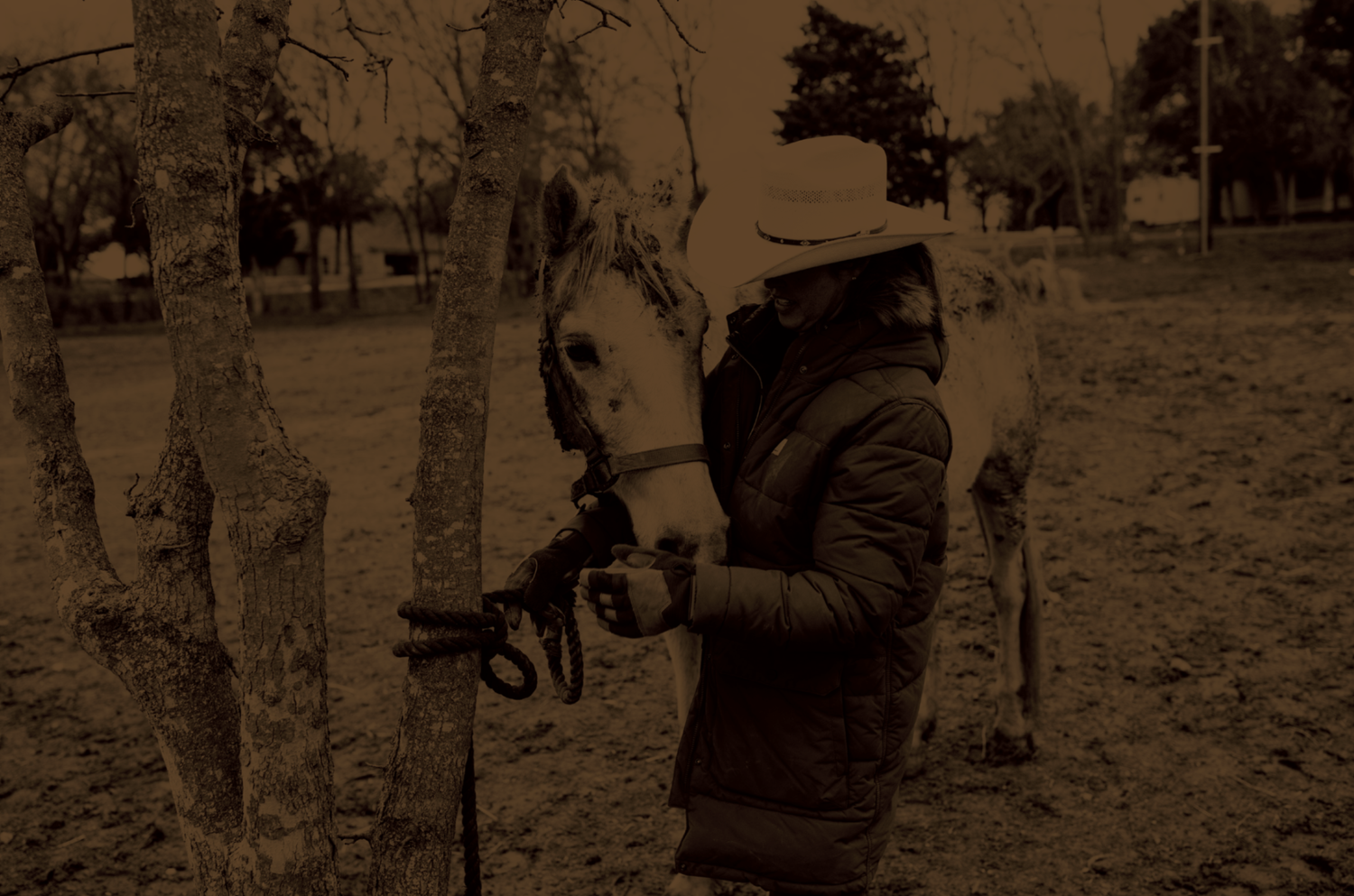 Meet our staff, the heartbeat of teen wellness and healing at Rustic Way Ranch, an equine-assisted psychotherapy center for teens struggling with mental health.