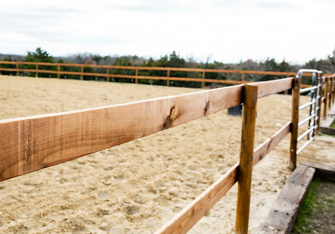 Explore Our Rustic Way Ranch Facility