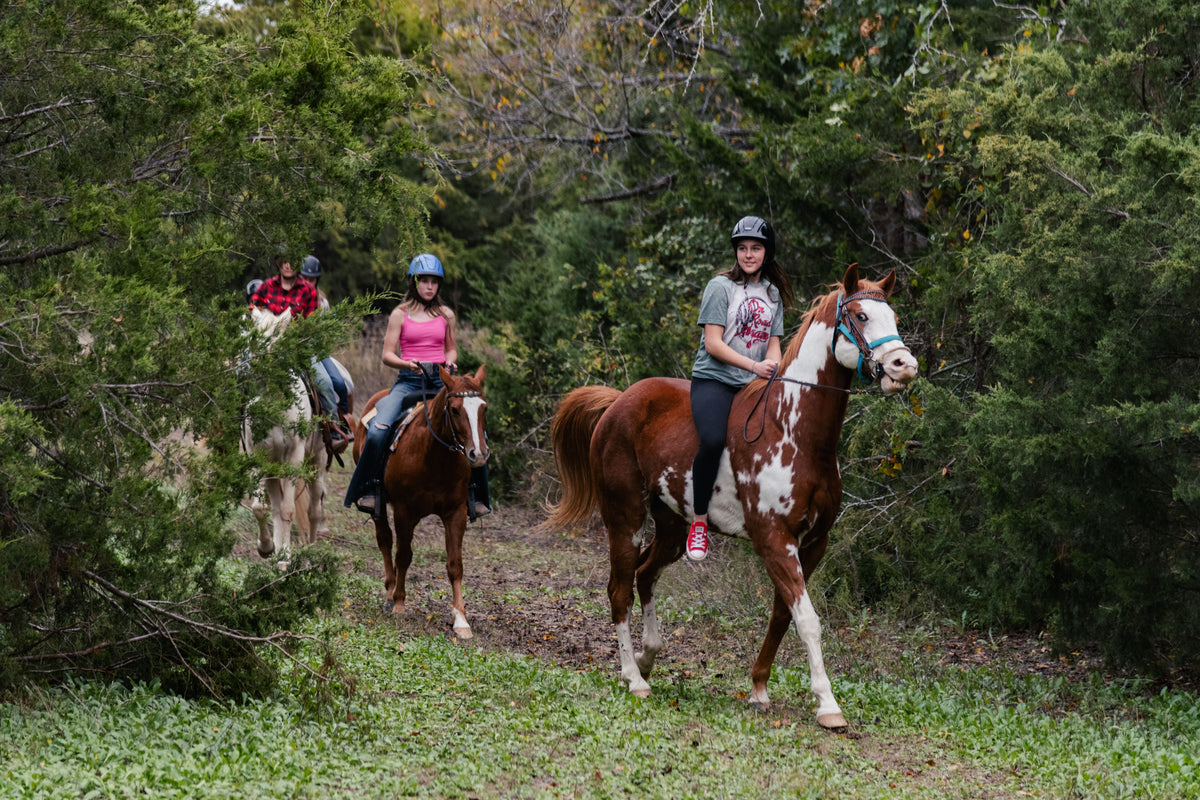Brain Building Solutions – Rustic Way Ranch